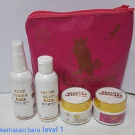 CREAM KECANTIKAN AL MAXI GLOW SKINCARE LEVEL 1dan2