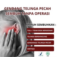 Er Long Zuo Ci Wan Ori Herbal Cina Gendang Telinga Pecah Obat Telinga Berdenging Tuli Budeg Tinnitu