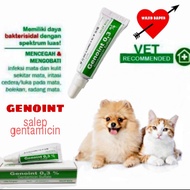 Genoint Gentamicin Salep Mata Obat Mata Kucing Anjing 3,5g