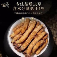 正宗野生冬蟲夏草正品冬蟲夏草蟲草花大斷草西藏冬蟲夏草滋補泡酒