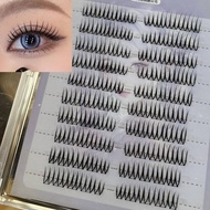 eyelash fake eyelashes Shi Nuomei Segmented Thick Face Black Terrier Korean Girl Group Style False E