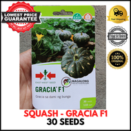 EAST-WEST SEEDS - KALABASA SEEDS - GRACIA F1 HYBRID 30 Seeds