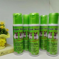 MINYAK ARNAB ORIGINAL tidak panas 60ml