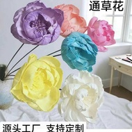 Tongcao Flower Preserved Flower Dried Flower Peony Handmade Flower Home Decoration Decoration Weddin