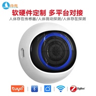 Human Body Existence Sensor Graffiti Smart WiFimm Wave Sensor Detection zigbee Human Body Existence 