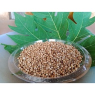 Genuine natural coriander 1/4 kg Coriander original Coriander Seasoning Coriander Medicine