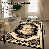 Carpet/Floor Carpet Living Room Carpet Anti-Slip Rug Aesthetic Carpet Size 200x300cm