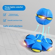 VOA | Interactive Pet Ball with Light and Bounce Durability for Dogs