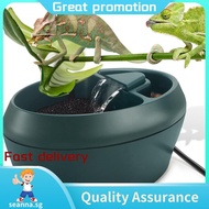Reptile Chameleon Cantina with Snacks Trough, Drinking Fountain Water Dripper for Amphibians Insects