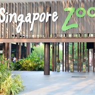 Singapore Zoo with Tram (E-ticket)