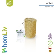 HomLiv Dishwashing Sponge Luffa Dishwashing Sponge Loofah