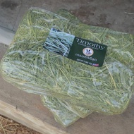 Timothy Grass 5 Kg All Grades Of Timothy Hay Timothy