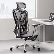 Hbada P5 Ergonomic Office Chair Grey