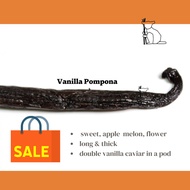 Madagascar Vanilla bean- vanilla pompona(hybrid bean)