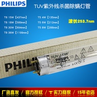 Lampu Pensterilan UV Cahaya Kuat T5 TUV 4W 6W 8W T8 15W 30W 36W