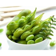 Edamame Edatsuki (1KG/PKT) 毛豆荚带枝 - Frozen - HALAL