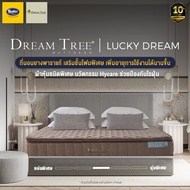 [New Collection] Dream Tree ที่นอนรุ่น Lucky Dream หนา 11 นิ้ว ที่นอนยางพาราแท้ เสริมชั้นโฟมพิเศษ เพิ่มอายุการใช้งานได้นานขึ้น แถมฟรีหมอนหนุน 2 ใบ ส่งฟรี 3.5 ฟุต One