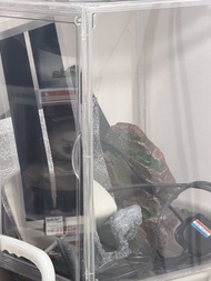 爬蟲箱鈣粉維他命水加熱墊裝飾石