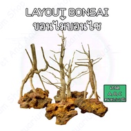 driftwood bonsa Layout ขอนบอนไซ เกรด ABCสำหรับตั้งตู้ไม้น้ำ ตกแต่งตู้ ขอนไม้ Bonsai ตู้ไม้น้ำ ตู้ปลา พรรณไม้น้ำ บอนไซ