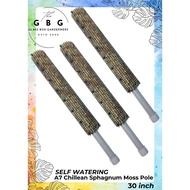 100% 7A Chilean Sphagnum Moss