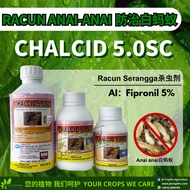 【Racun anai anai】 Chalcid 5.0SC（Fipronil) Ubat Semut,Ubat Lipas 白蚁药 Termite Control Pesticide  (Bure