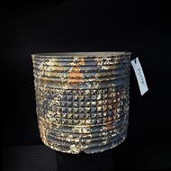 FLYER 塊根多肉植物陶盆器 龍舌蘭象牙宮象足漆樹盆器