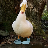 New Style Duck Goose Shoes Foot Bird Boots Pet Duck Cole Duck Protective Shoes [cxSE]