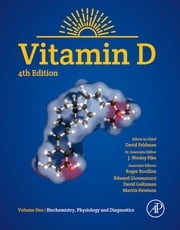 Vitamin D Roger Bouillon