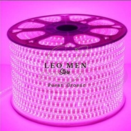 CAHAYA Pink LED Strip Lights~Pink Light LED Hose~SMD 5050~PINK~Outdoor/Indoor~Meteran