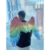 Colorful costume angel bird wings