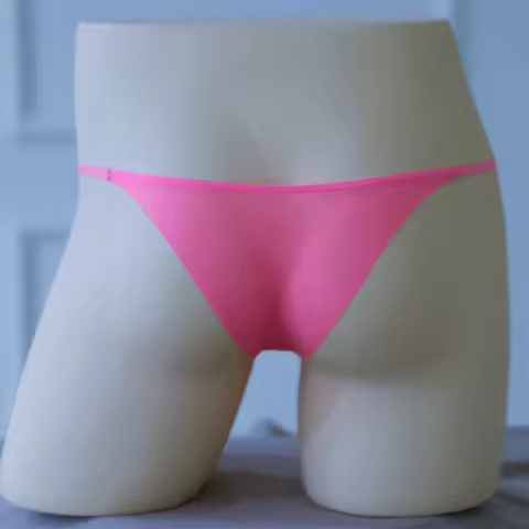 Men's Swimming Trunks Thin Men Low Waist Sheer See Through Thong Bulge Underwear Briefs Underpants B