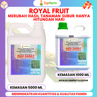 Pupuk Padi Darat / Pupuk Padi Pelebat Buah / Pupuk Padi Semprot Penyubur / Pupuk Padi Cair / Pupuk K