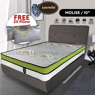 Free Shipping / Lucrezia Molise (Limited Edition) King Spine Support Spring Mattress | Tilam