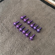 Original yamaha GR5 titanium body bolts