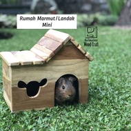 Guinea Pig House mini Hedgehog House Guinea Pig House