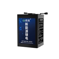 Euro-Core Lithium Battery Electric Motorcycle Dedicated Battery Tri-Element Lithium Iron Phosphate L