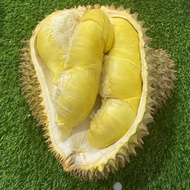 durian montong palu parigi utuhan/butiran
