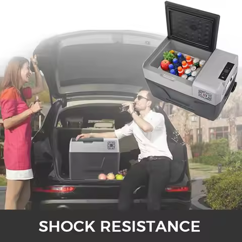 Small Refrigerator Cold Box Warmer Box /45 L Car Refrigerator 12/24V(DC) 110-240V(AC) Mini Fridge Fr
