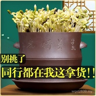 Bean Sprout Germination Household Pot Cultivation Time Big Organic Raw Purple Clay Capacity Bean Spr