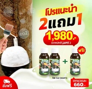 โดส Co2 (ซีโอทู) ทาหน้ายาง 2 แถม 1 Dose เพิ่มผลผลิต พิชิตเชื้อรา แก้ปัญหาตายนึ่ง