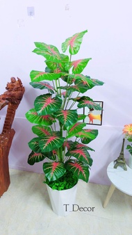 Cây giả decor cây trầu bà giả cây chuối xanh vạn niên thanh mẫu cây giả cao 1m4 decor trang trí nhà 