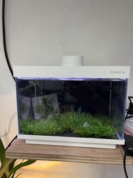 Xiaomi 小美迷你魚缸