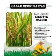 BIBIT Benih Padi Pandan Wangi / Mentik Wangi 5 kg TERLARIS