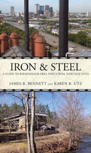 Iron and Steel James R. Bennett