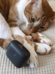 Anker Soundcore Liberty Air 2 無線耳機