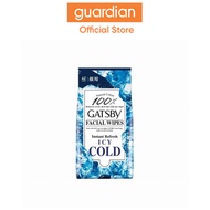 Gatsby Facial Wipes Ice Type 42s