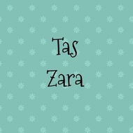 ZARA Zara's Bag