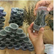 6 Boxes of 4 Seasons sparrow trap glue - Free 1 box = 7 boxes and free sparrow sounds via Email