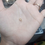 375% gold necklace link