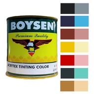 Boysen Acrytex Tinting Color Paint (Available in Different Colors) - 1/4L